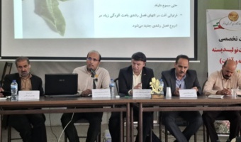 روز انتقال یافته‌ها؛ پیوند علم و عمل در پرورش پسته