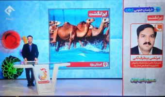 فناوری در خدمت دامپروری با سامانه ساربانیار