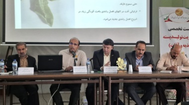 روز انتقال یافته‌ها؛ پیوند علم و عمل در پرورش پسته